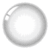 Lenstown Elly Basic Black Monthly (1 Pack)